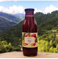 Cooler - Plum (Juice Concentrate -500ml)